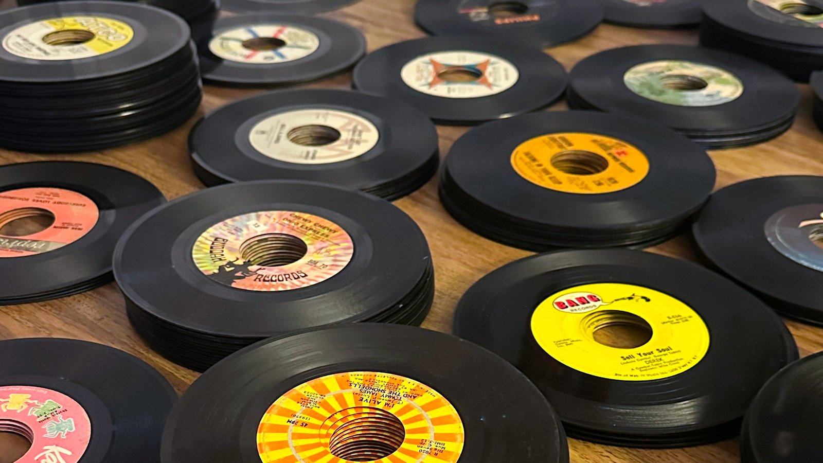 A working group of rescued vinyl records selected for reVinyled
